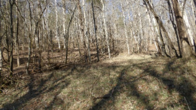 0 Spring Fork Road Granville, TN 38564 - Photo 58 of 79 Gallery Image 58