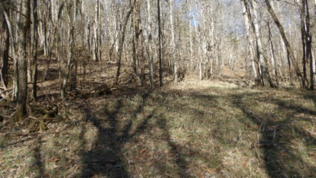 0 Spring Fork Road Granville, TN 38564 - Photo 59 of 79 Gallery Image 59