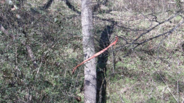 0 Spring Fork Road Granville, TN 38564 - Photo 6 of 79 Gallery Image 6