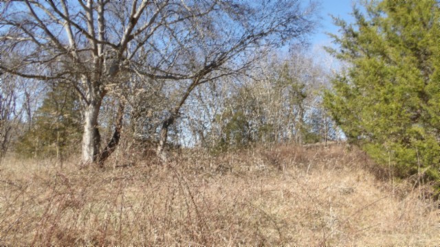 0 Spring Fork Road Granville, TN 38564 - Photo 61 of 79 Gallery Image 61