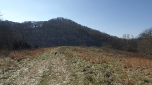 0 Spring Fork Road Granville, TN 38564 - Photo 63 of 79 Gallery Image 63