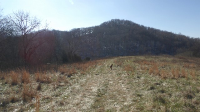 0 Spring Fork Road Granville, TN 38564 - Photo 64 of 79 Gallery Image 64