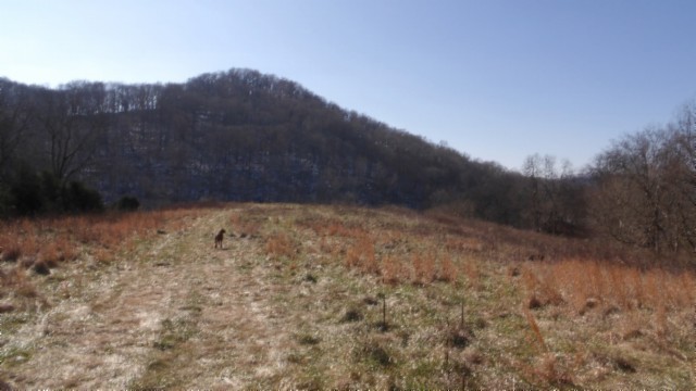 0 Spring Fork Road Granville, TN 38564 - Photo 65 of 79 Gallery Image 65