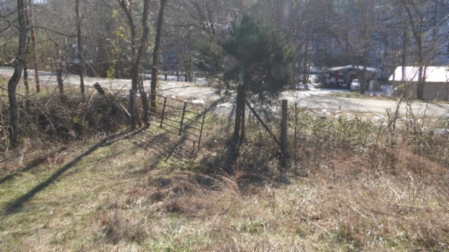 0 Spring Fork Road Granville, TN 38564 - Photo 66 of 79 Gallery Image 66