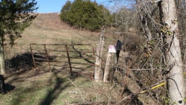 0 Spring Fork Road Granville, TN 38564 - Photo 68 of 79 Gallery Image 68