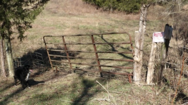 0 Spring Fork Road Granville, TN 38564 - Photo 69 of 79 Gallery Image 69