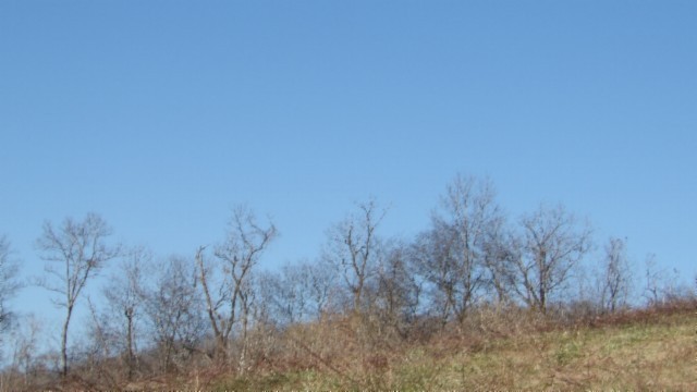 0 Spring Fork Road Granville, TN 38564 - Photo 7 of 79 Gallery Image 7
