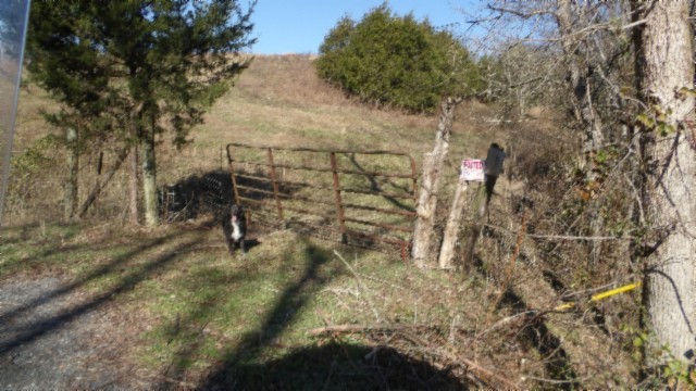 0 Spring Fork Road Granville, TN 38564 - Photo 71 of 79 Gallery Image 71