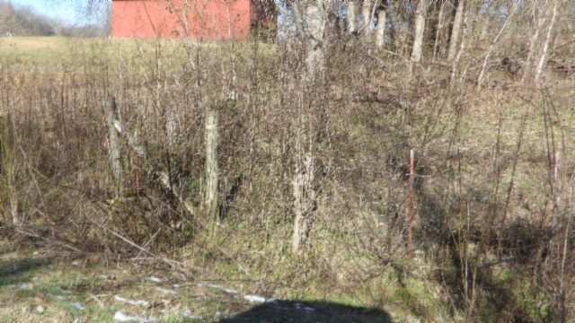 0 Spring Fork Road Granville, TN 38564 - Photo 72 of 79 Gallery Image 72