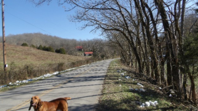 0 Spring Fork Road Granville, TN 38564 - Photo 75 of 79 Gallery Image 75