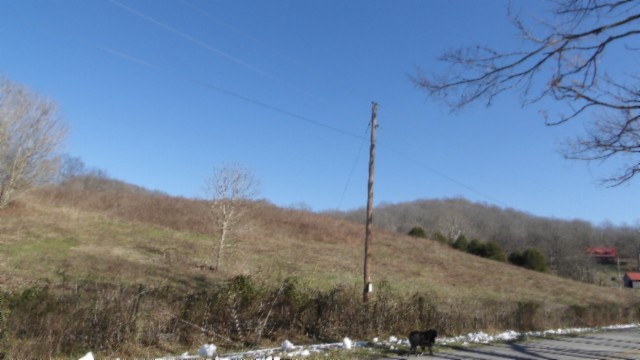 0 Spring Fork Road Granville, TN 38564 - Photo 77 of 79 Gallery Image 77