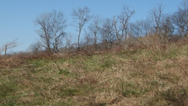 0 Spring Fork Road Granville, TN 38564 - Photo 8 of 79 Gallery Image 8