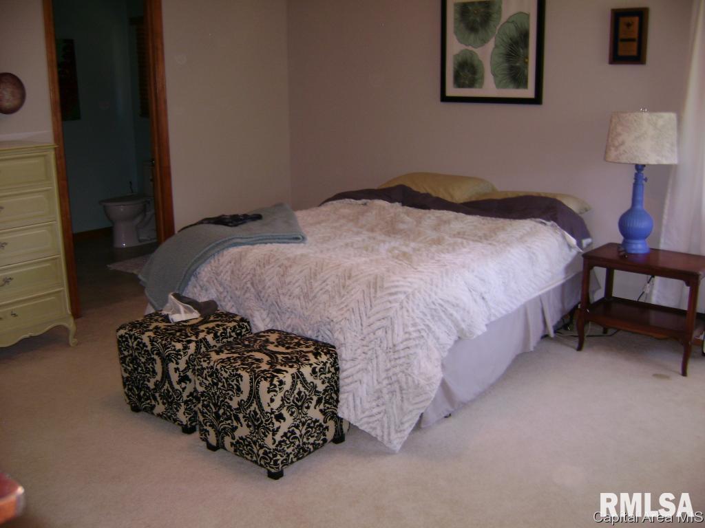 2719 Kitty Hawk Court Springfield, IL 62711 - Photo 10 of 20