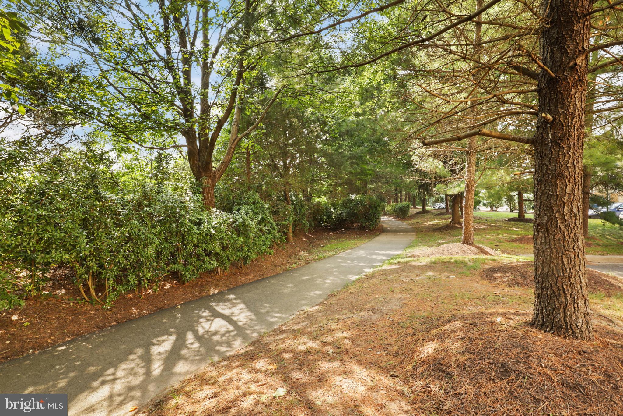 1934 Crescent Park Drive, Unit 28A Reston, VA 20190 - Photo 38 of 38 a view of yard with trees