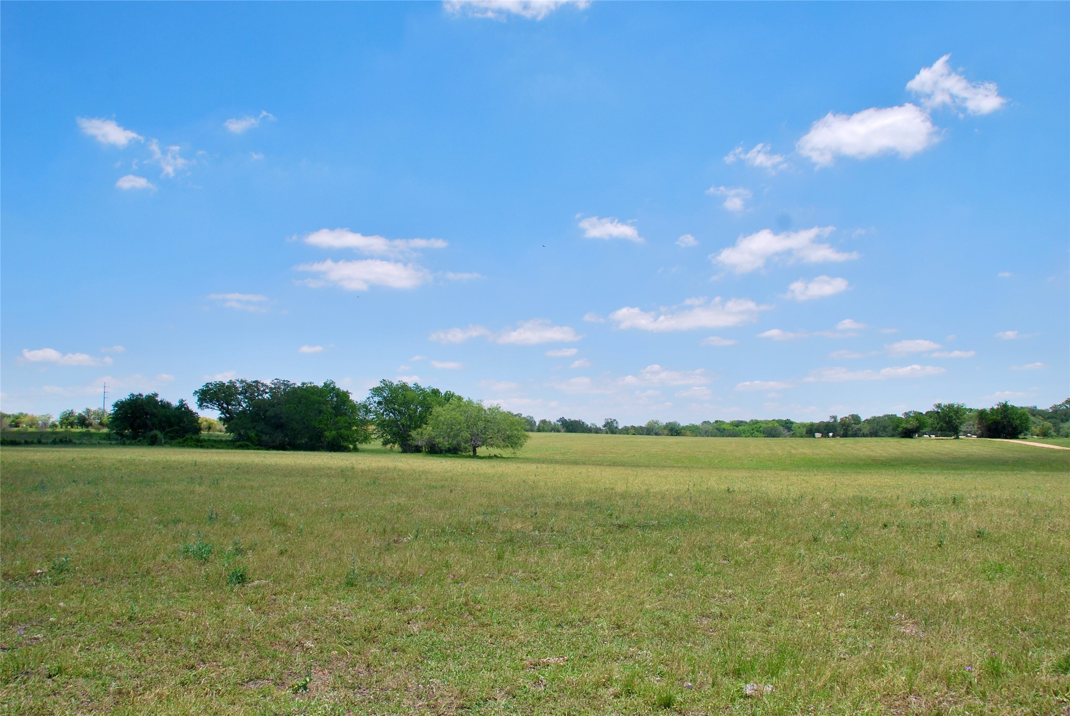2072 Langdon Road Weimar, TX 78962 - Photo 6 of 18