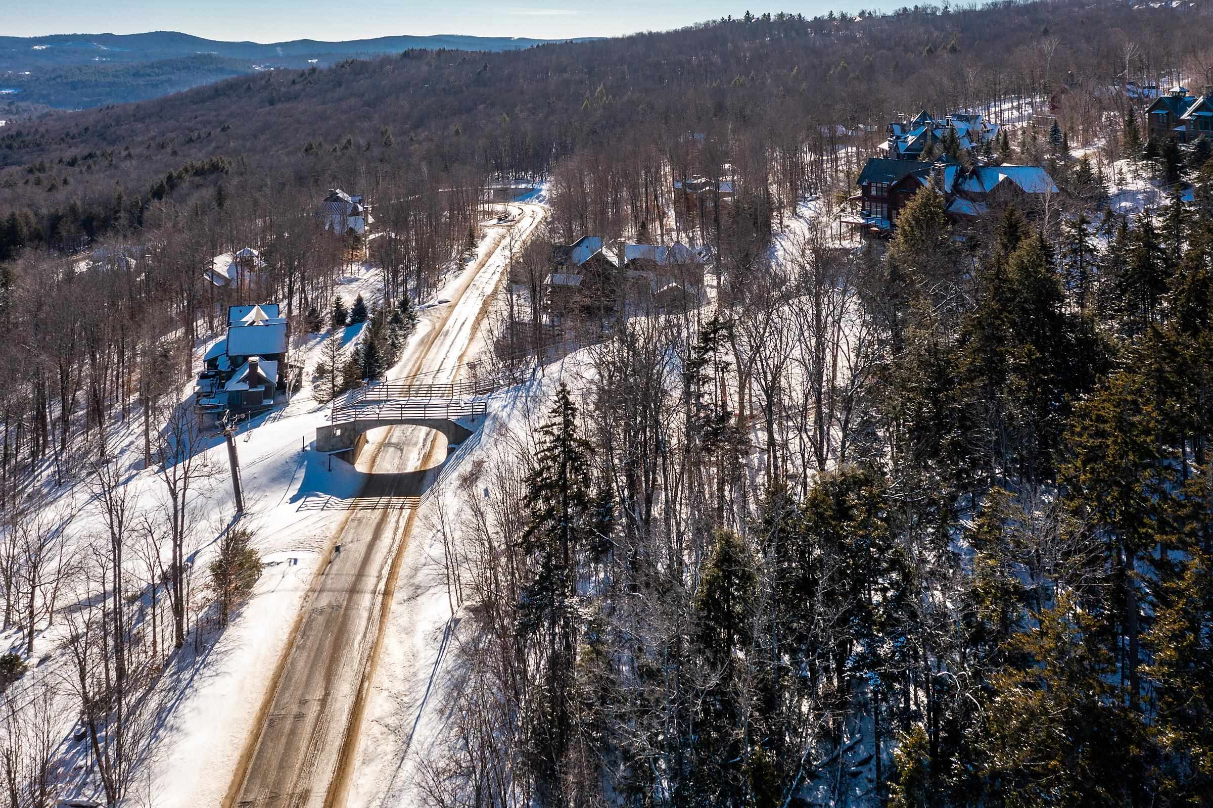 S-16 Okemo Ridge Road, Unit S16 Ludlow, VT 05149 - Photo 11 of 28 Gallery Image 11