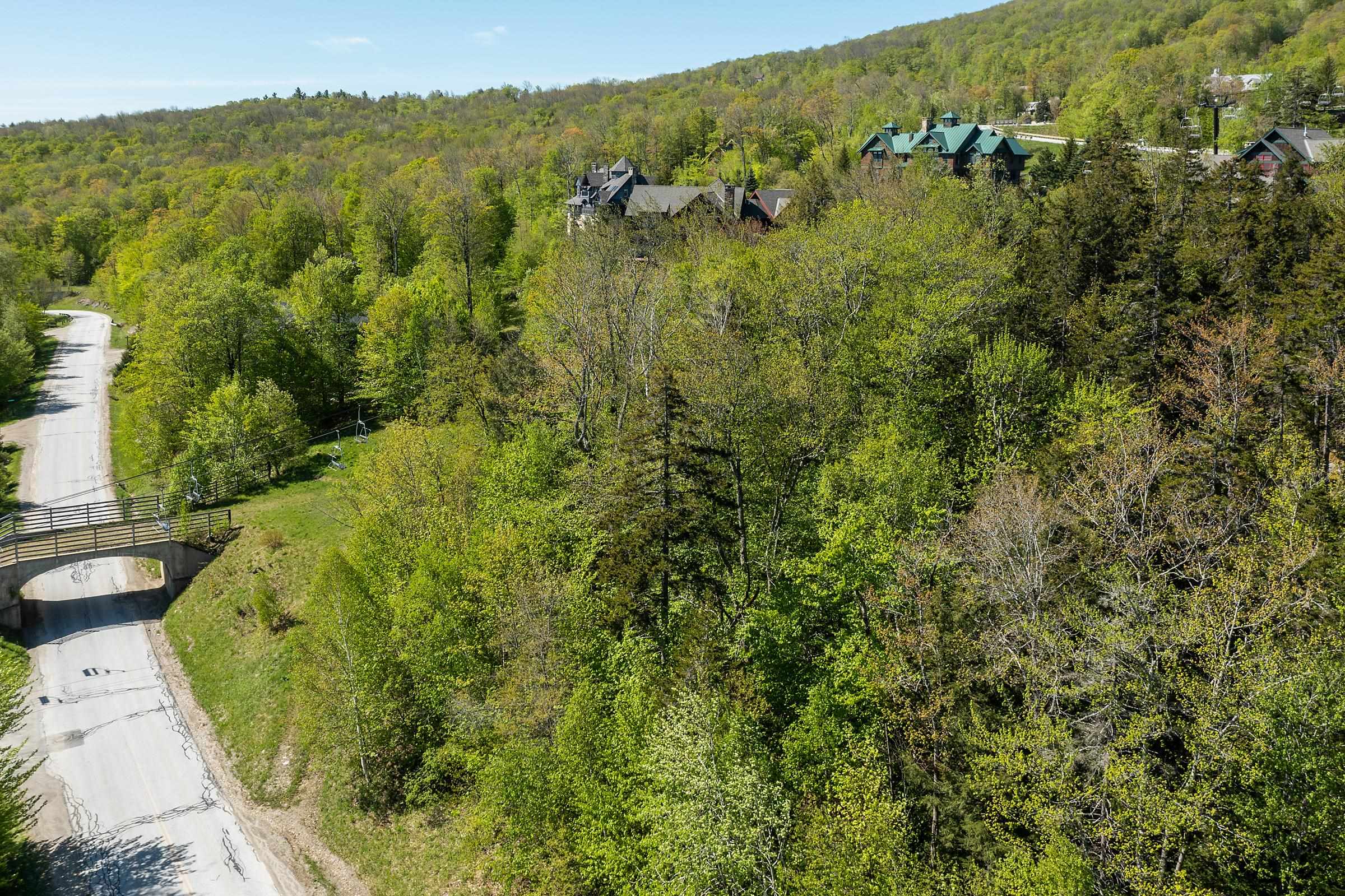 S-16 Okemo Ridge Road, Unit S16 Ludlow, VT 05149 - Photo 22 of 28 Gallery Image 22
