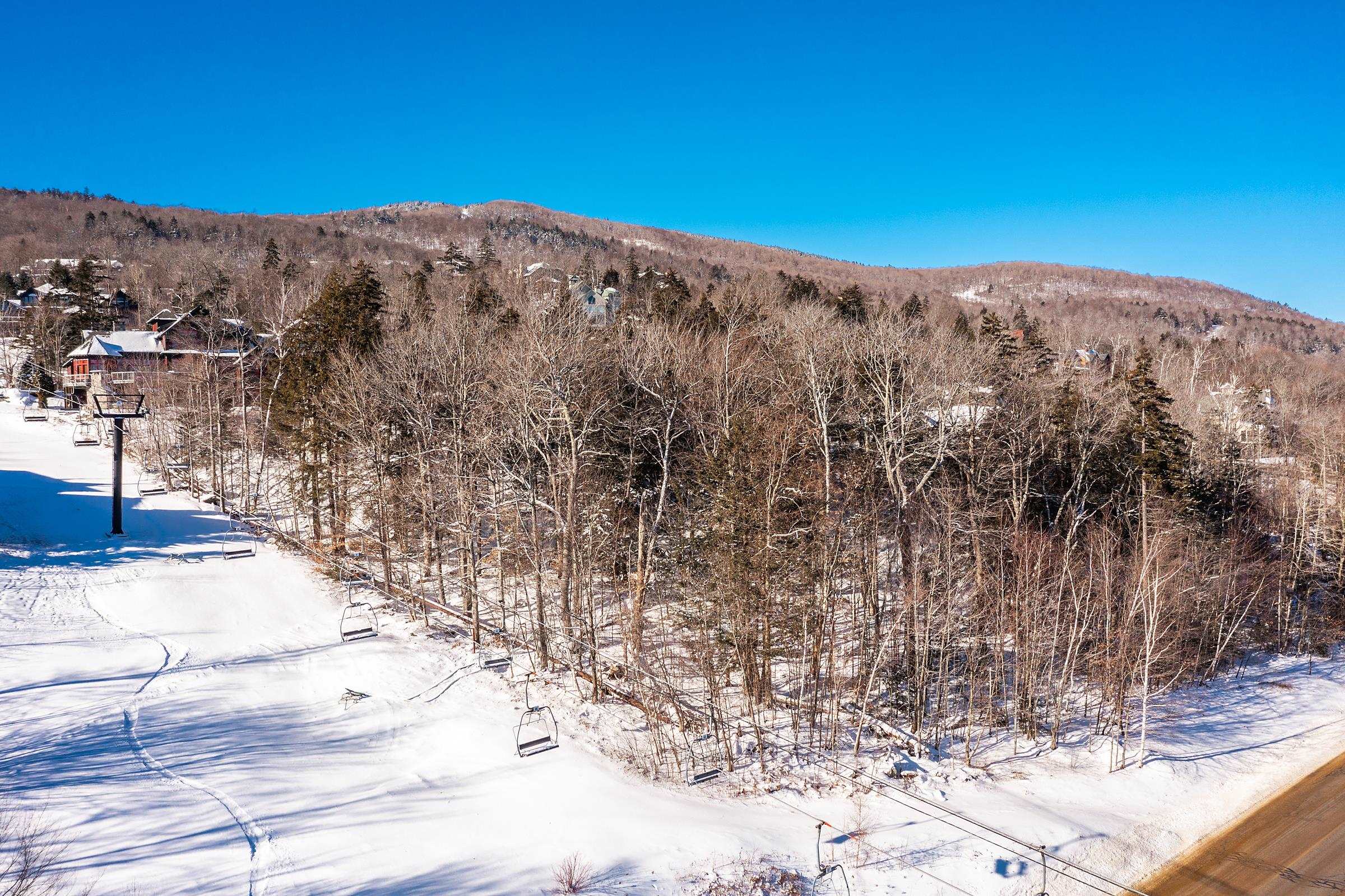S-16 Okemo Ridge Road, Unit S16 Ludlow, VT 05149 - Photo 6 of 28 Gallery Image 6