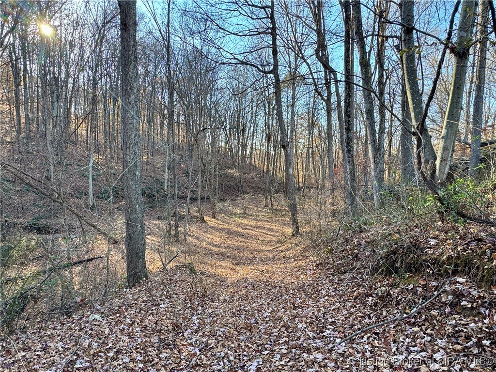 9781 East New Philadelphia Road Salem, IN 47167 - Photo 23 of 44