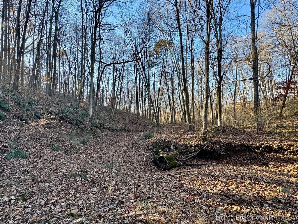 9781 East New Philadelphia Road Salem, IN 47167 - Photo 25 of 44