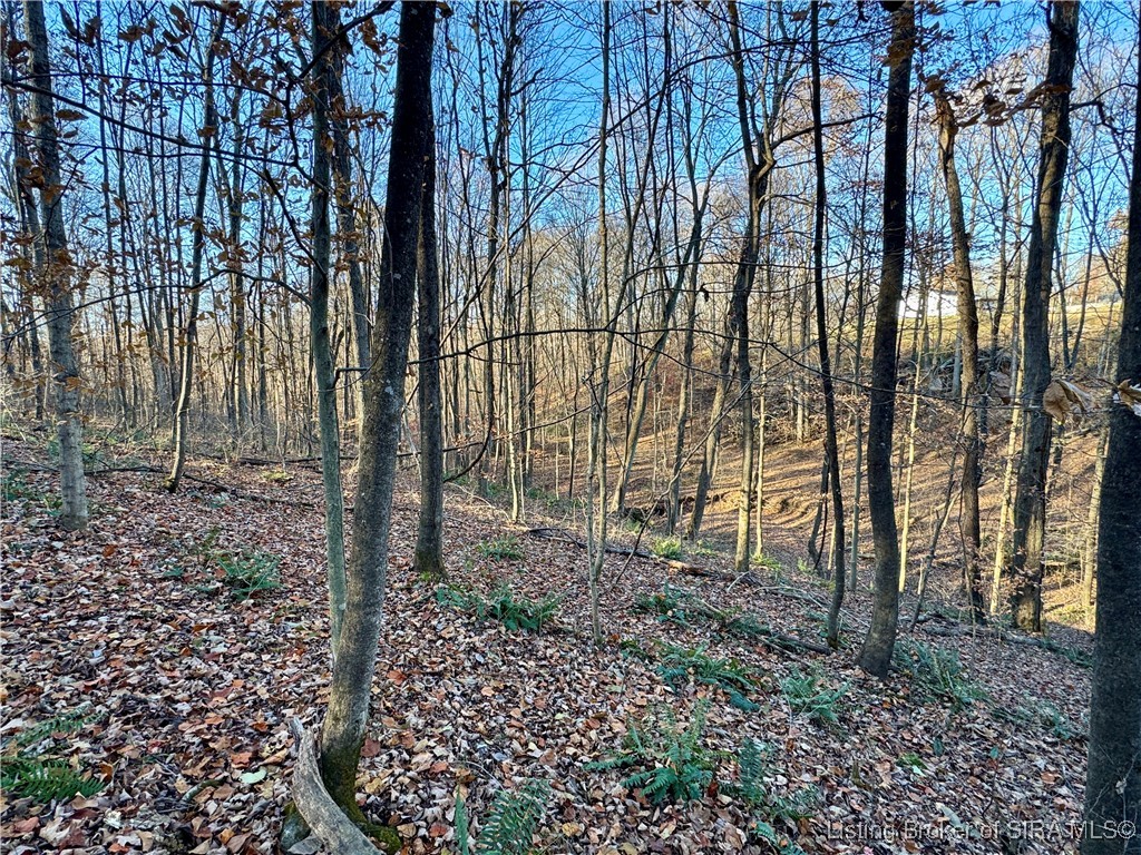 9781 East New Philadelphia Road Salem, IN 47167 - Photo 26 of 44