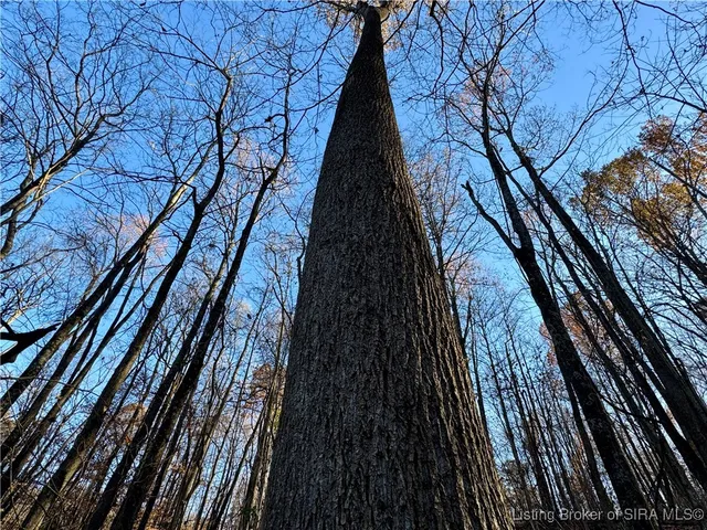 $214,900 | 9781 East New Philadelphia Road, Salem, IN 47167