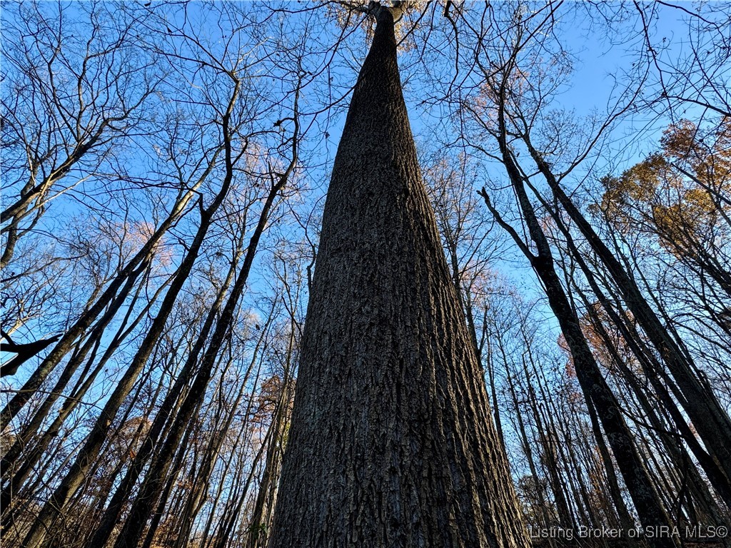 9781 East New Philadelphia Road Salem, IN 47167 - Photo 27 of 44