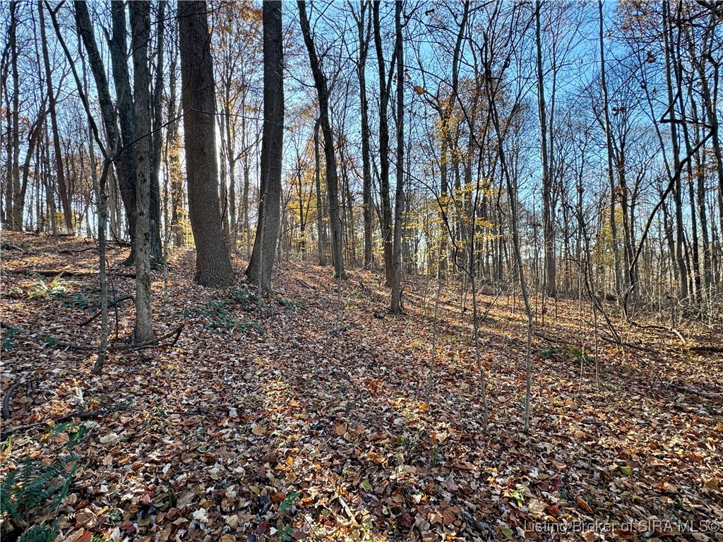 9781 East New Philadelphia Road Salem, IN 47167 - Photo 28 of 44