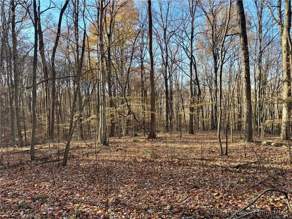 9781 East New Philadelphia Road Salem, IN 47167 - Photo 31 of 44