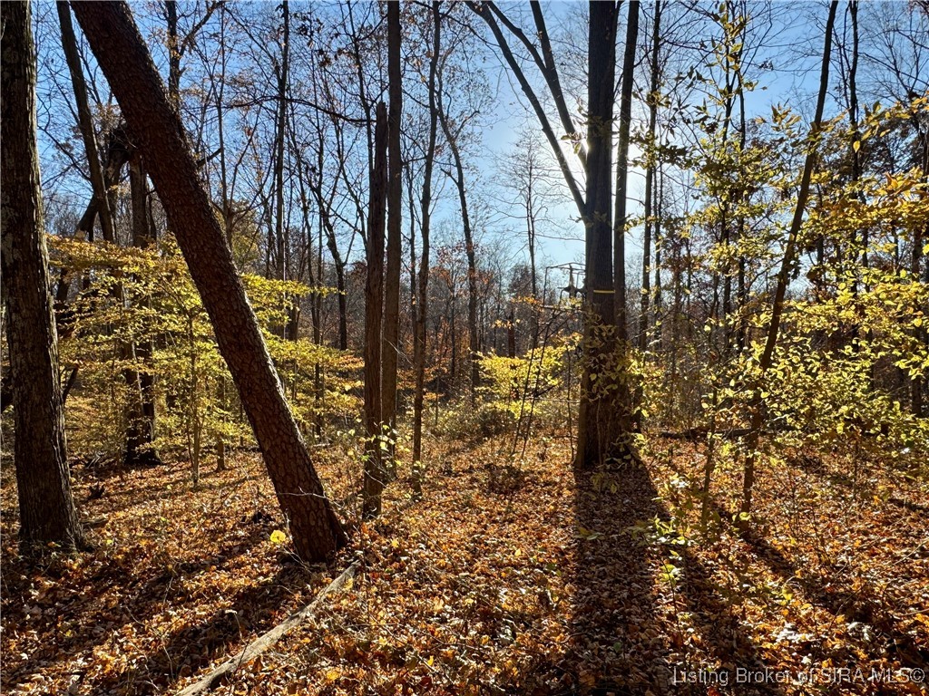 9781 East New Philadelphia Road Salem, IN 47167 - Photo 32 of 44