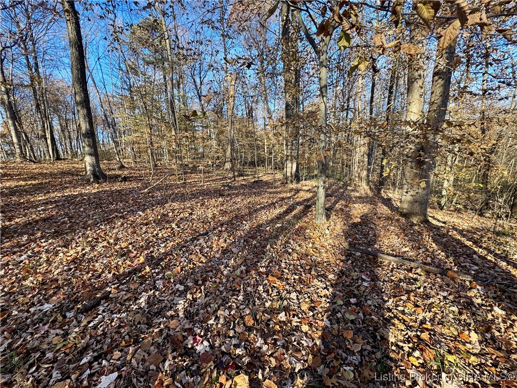 9781 East New Philadelphia Road Salem, IN 47167 - Photo 34 of 44