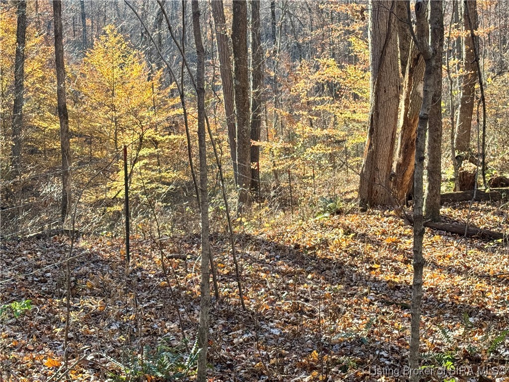 9781 East New Philadelphia Road Salem, IN 47167 - Photo 35 of 44