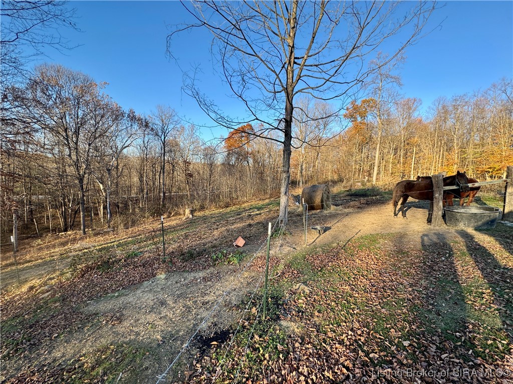 9781 East New Philadelphia Road Salem, IN 47167 - Photo 40 of 44