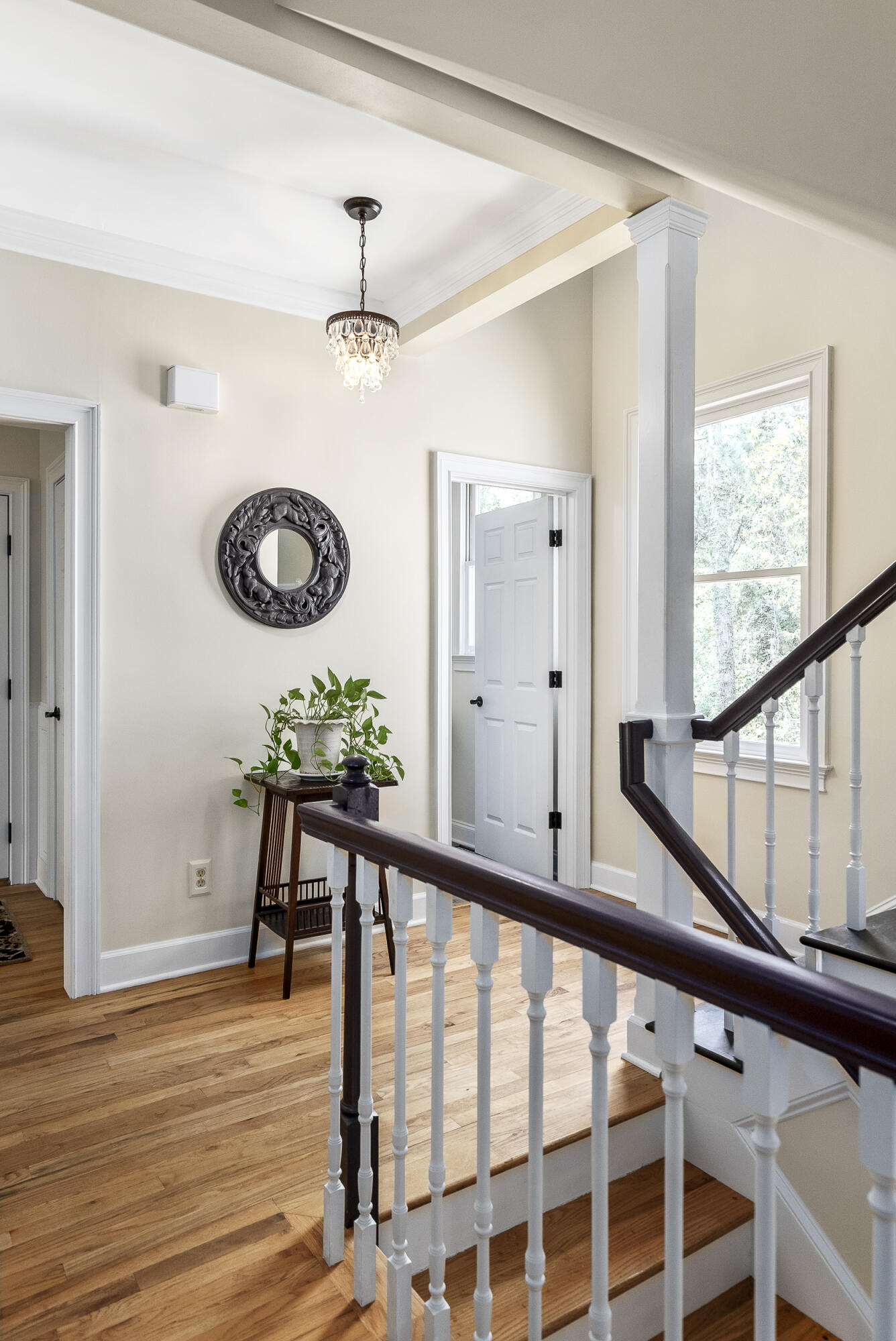 1506 Dibble Rd S West Aiken, SC 29801 - Photo 52 of 75 Gallery Image 52