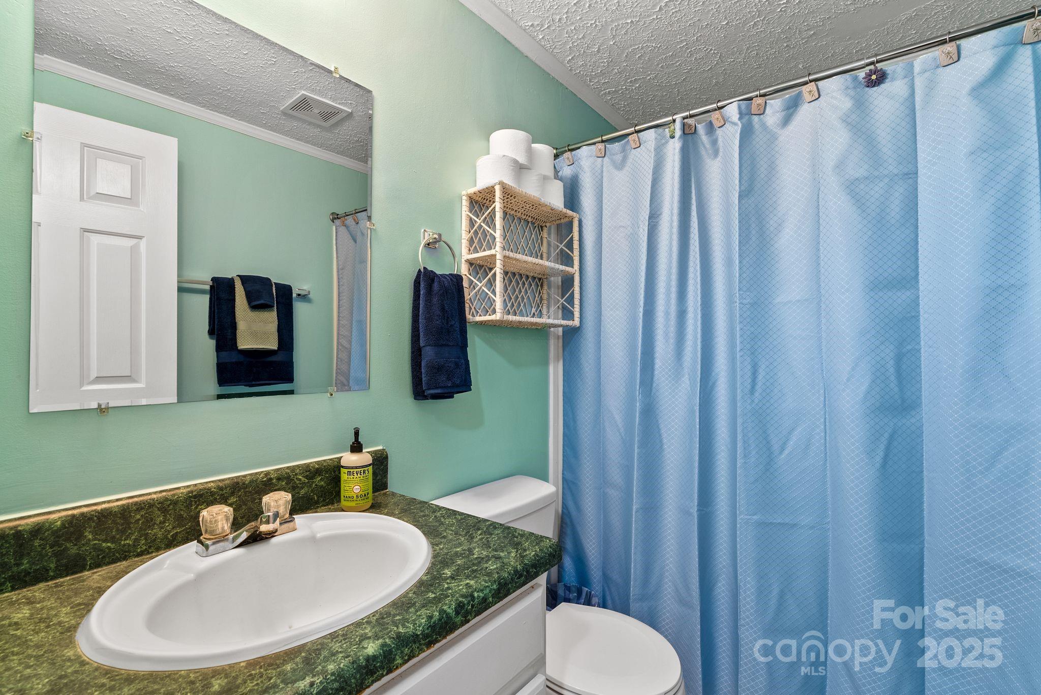 51 Farmstead Road Leicester, NC 28748 - Photo 15 of 30 Gallery Image 15