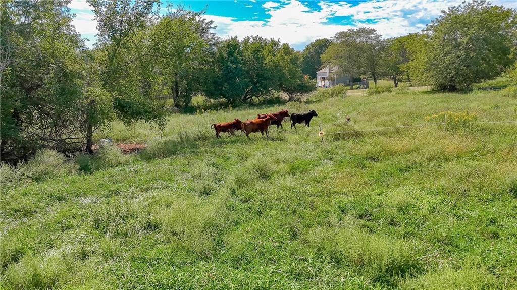 Northwest 1801st Road Kingsville, MO 64061 - Photo 38 of 44 Gallery Image 38