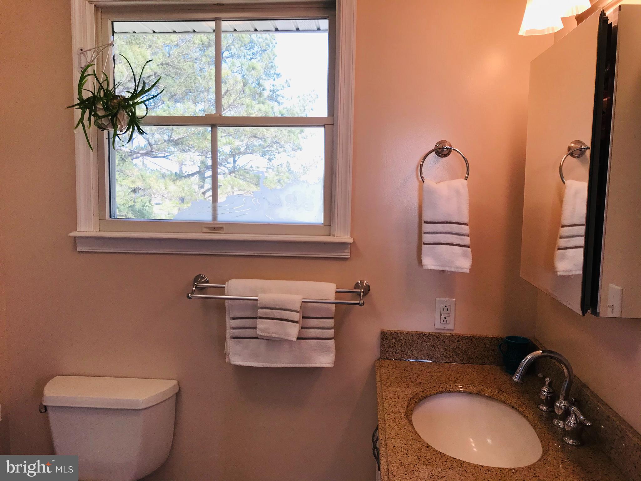 25771 Drum Point Road Westover, MD 21871 - Photo 14 of 29 Master Bathroom has a Granite Vanity