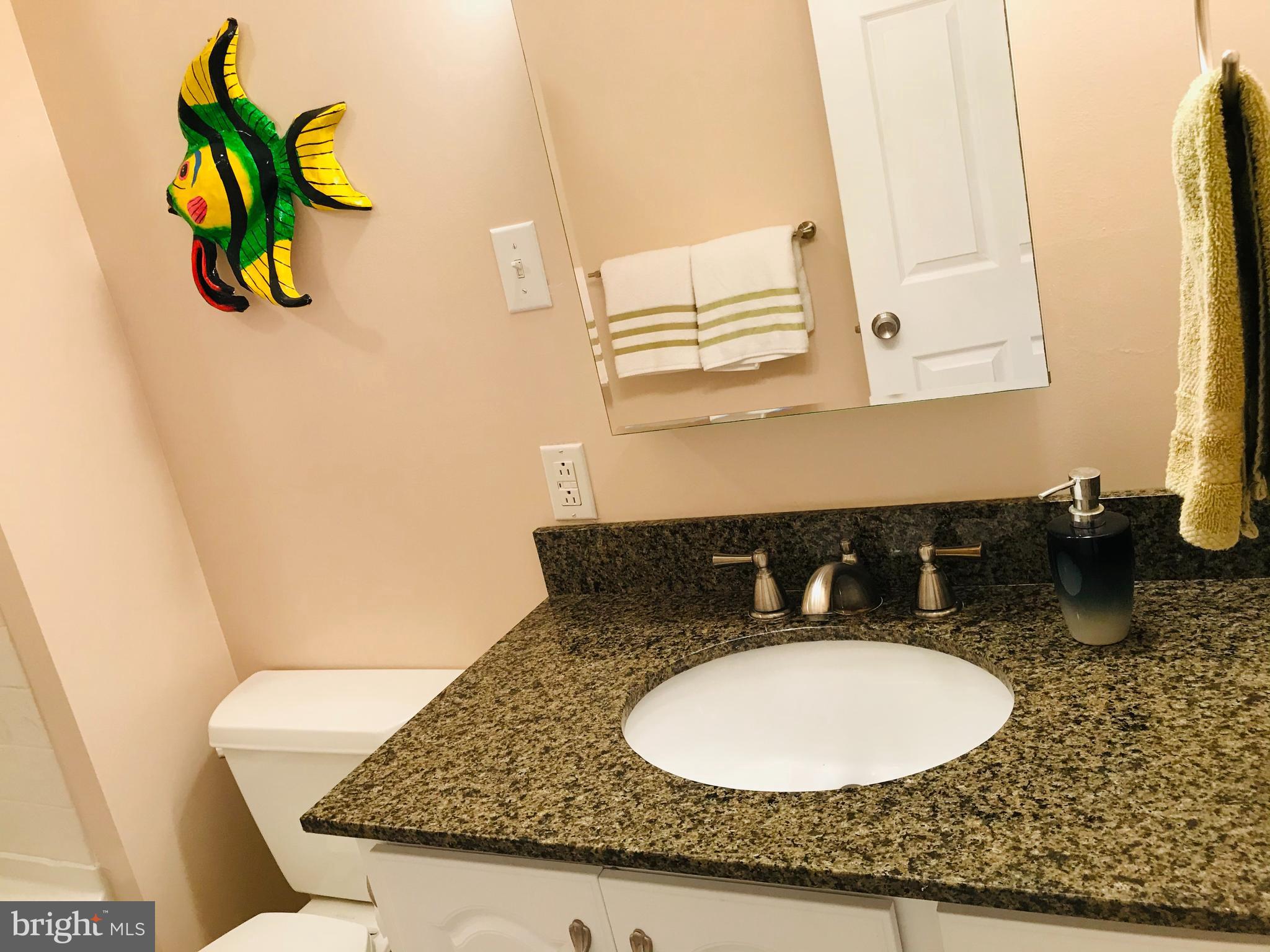 25771 Drum Point Road Westover, MD 21871 - Photo 24 of 29 Second Bathroom has a Granite Vanity