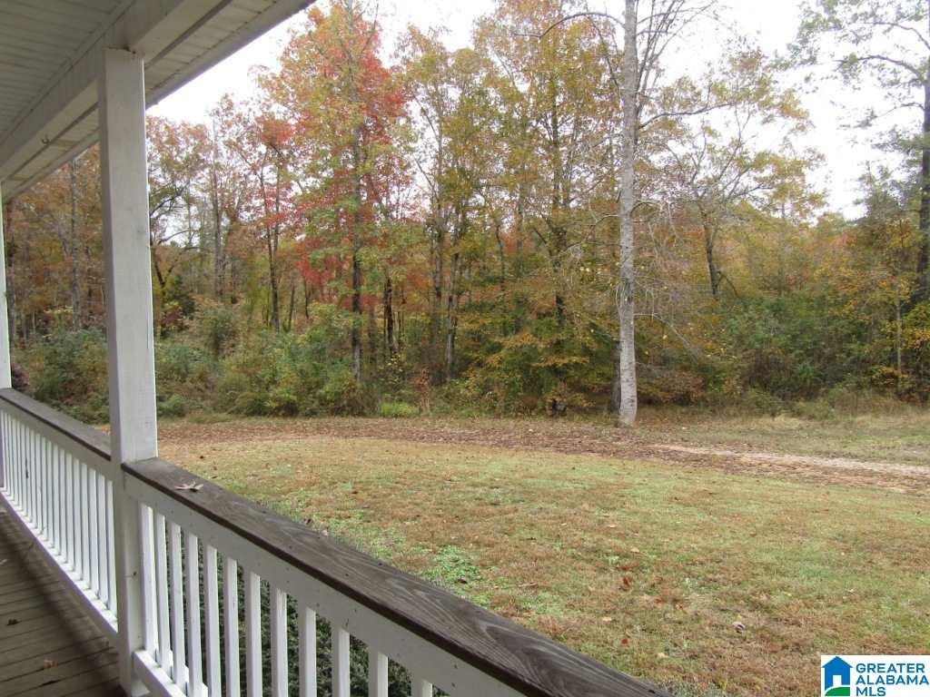 136 Boss Wilkins Drive Pell City, AL 35128 - Photo 21 of 28