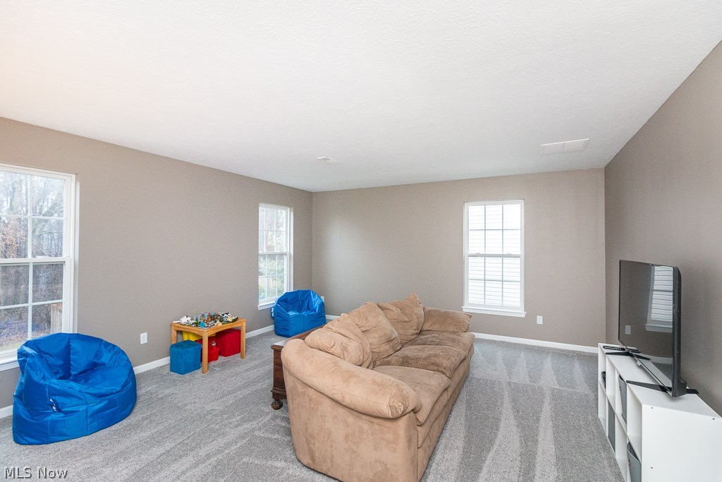 173 Sandstone Ridge Way Berea, OH 44017 - Photo 10 of 32 Gallery Image 10