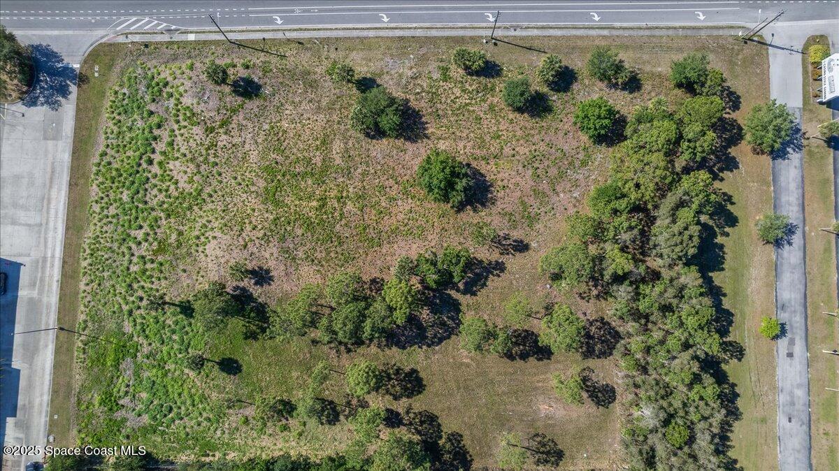 3400 Sarno Road Melbourne, FL 32935 - Photo 14 of 16 a view of a garden with plants