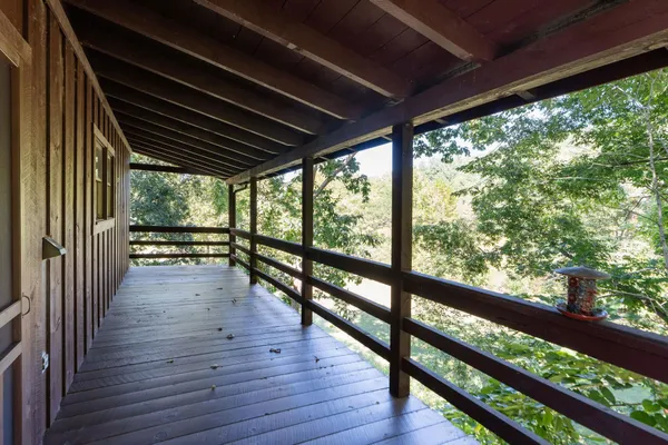 a view of a yard