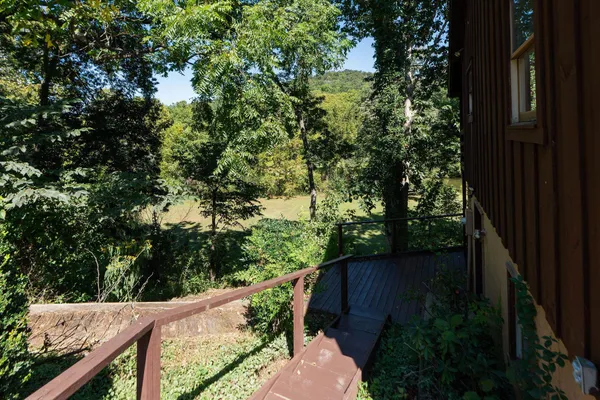 a view of a house with a tree