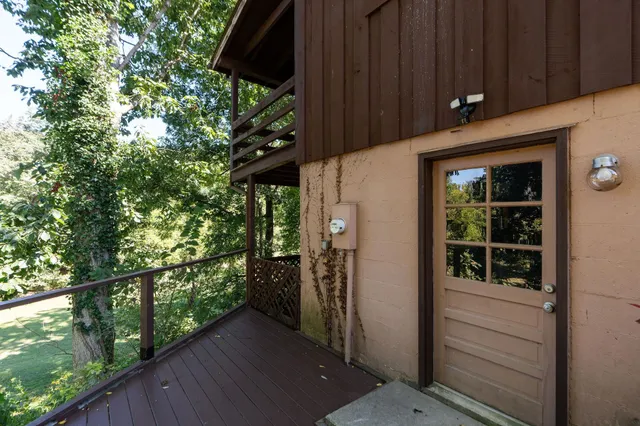 a view of a tree in a backyard of a house