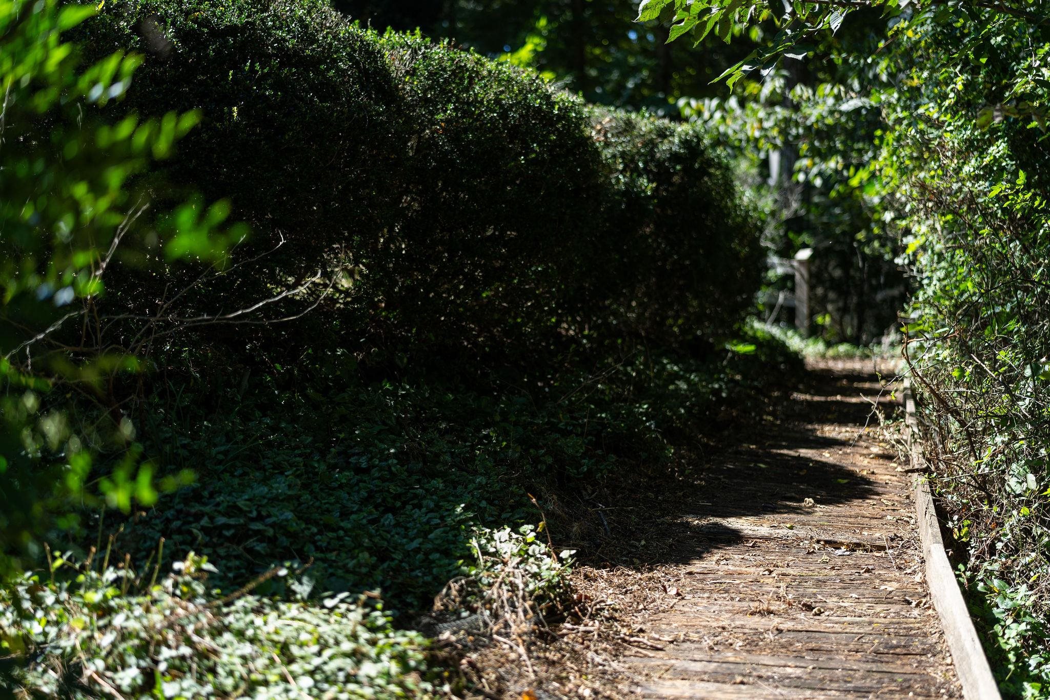 188 River Rdg Road Verona, VA 24482 - Photo 19 of 64