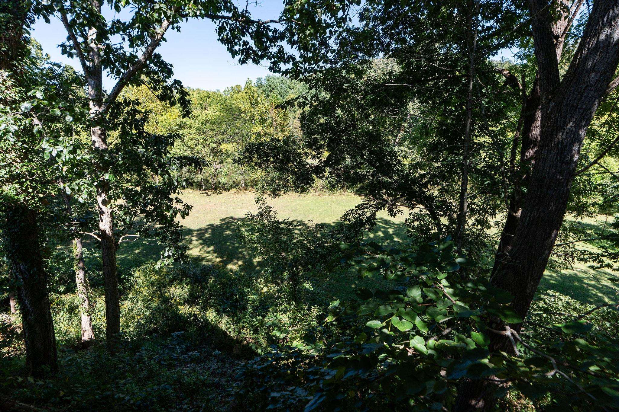 188 River Rdg Road Verona, VA 24482 - Photo 20 of 64 a view of a tree