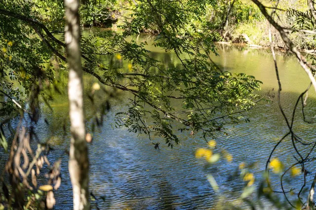 a view of a livingroom with wooden floor and a ceiling fan