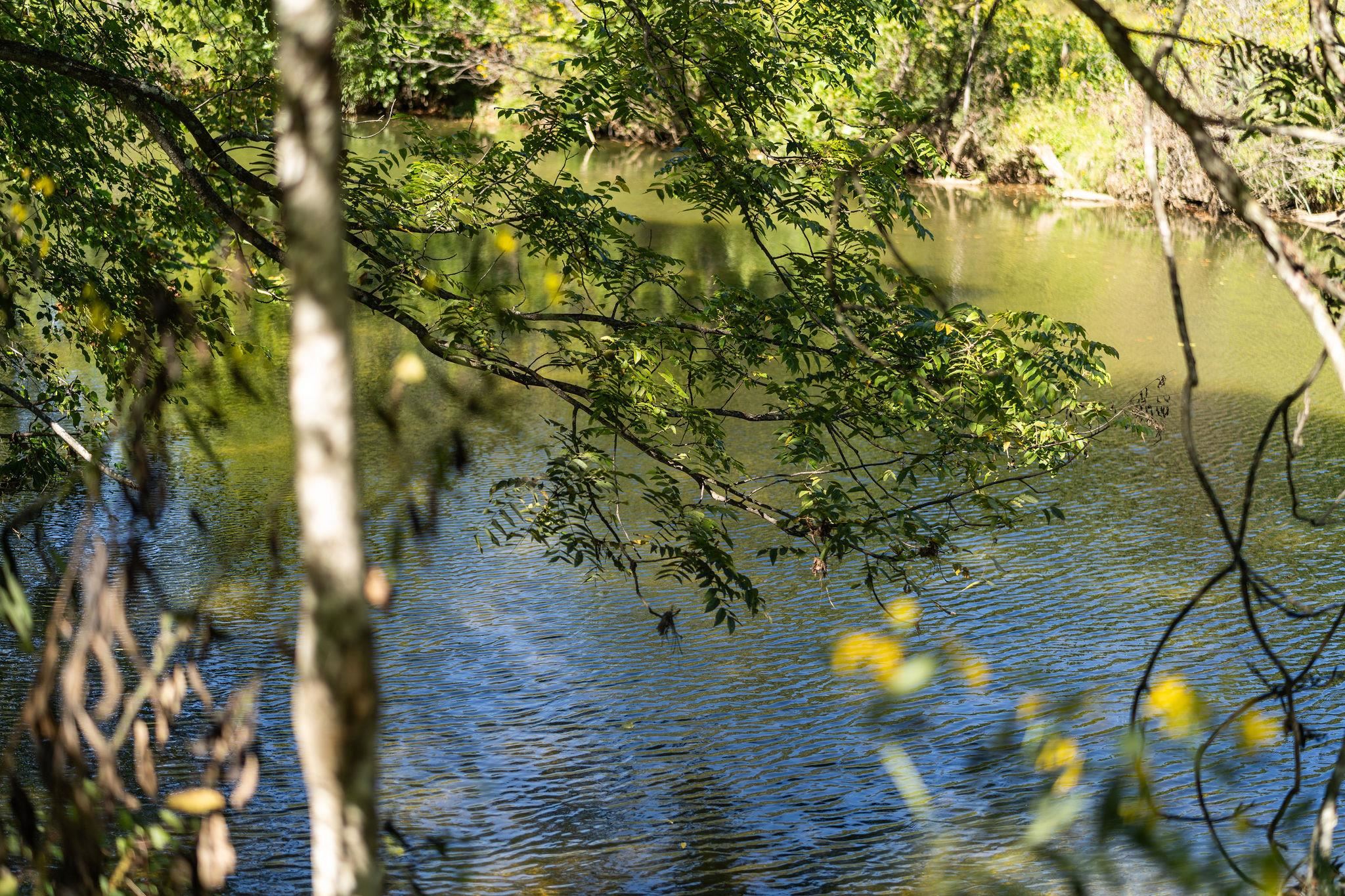 188 River Rdg Road Verona, VA 24482 - Photo 22 of 64