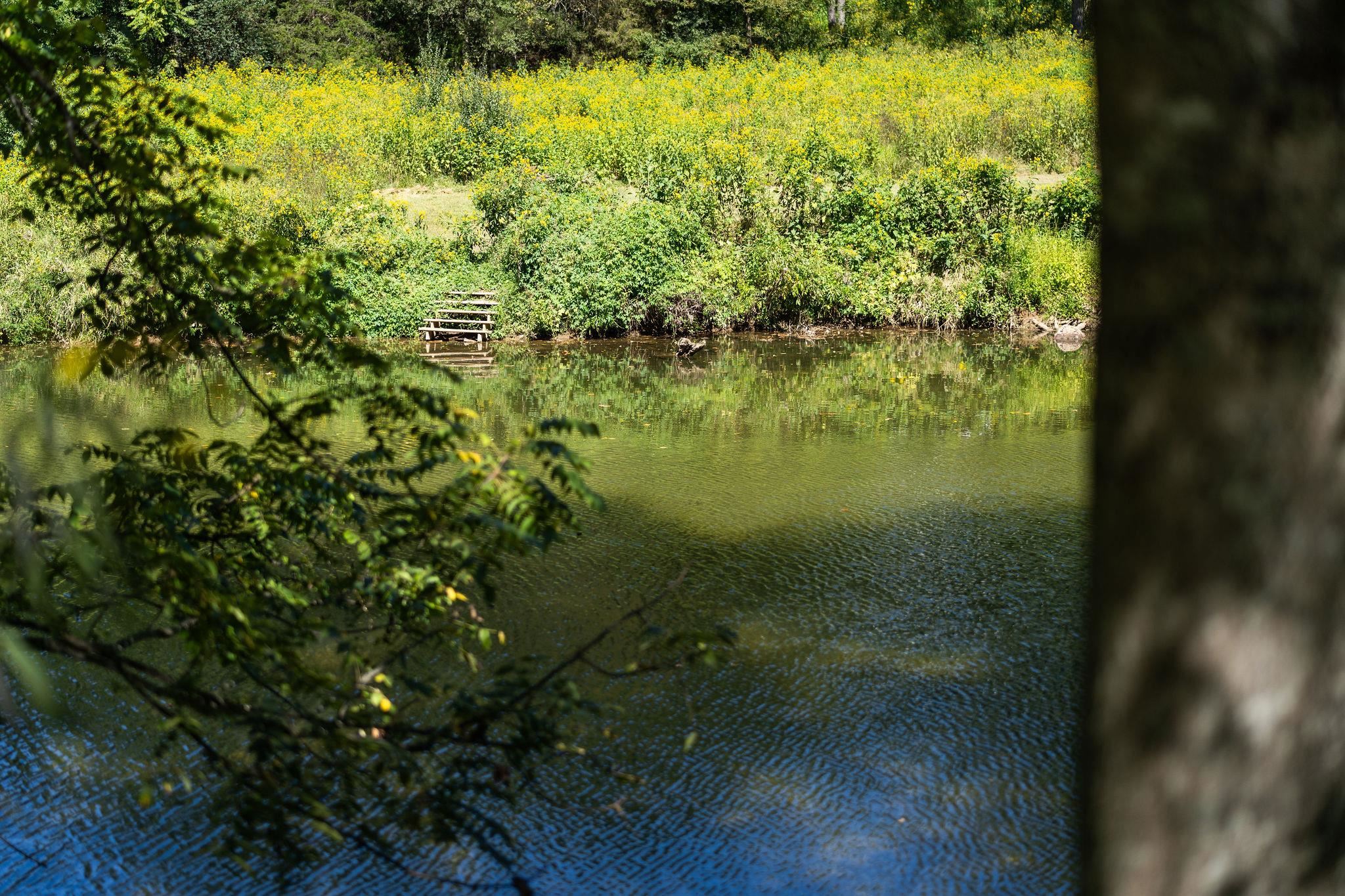 188 River Rdg Road Verona, VA 24482 - Photo 23 of 64