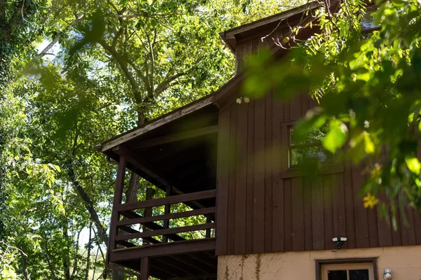 a view of swimming pool with a yard